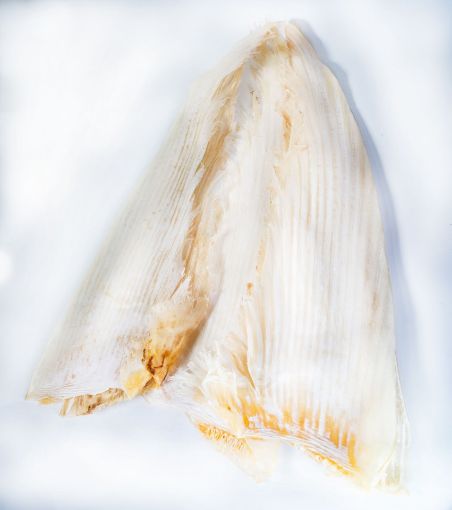 Picture of Shark Fin