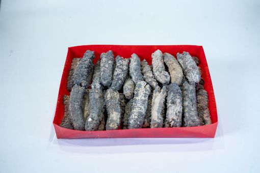 Picture of 40-45 pieces Yellow Meat Sea Cucumber