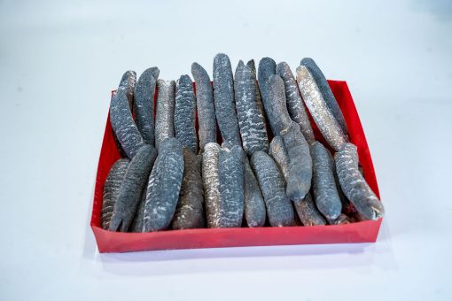 Picture of 35-38 pieces Bald Sea Cucumber