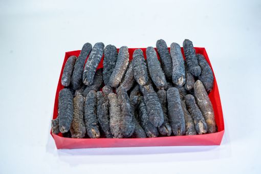 Picture of 50-55 pieces Bald Sea Cucumber