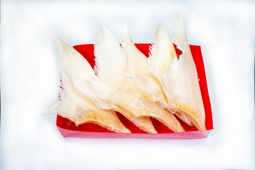 Picture of Group Shark Fin