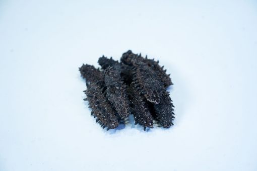 Picture of 60-65 pieces Liaodong Sea Cucumber