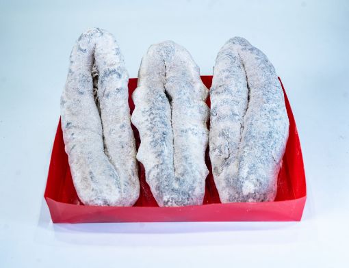 Picture of Australian White Stone Sea Cucumber